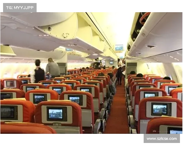 海南赛区新增高温高湿模拟舱训练助力选手提升气候适应能力